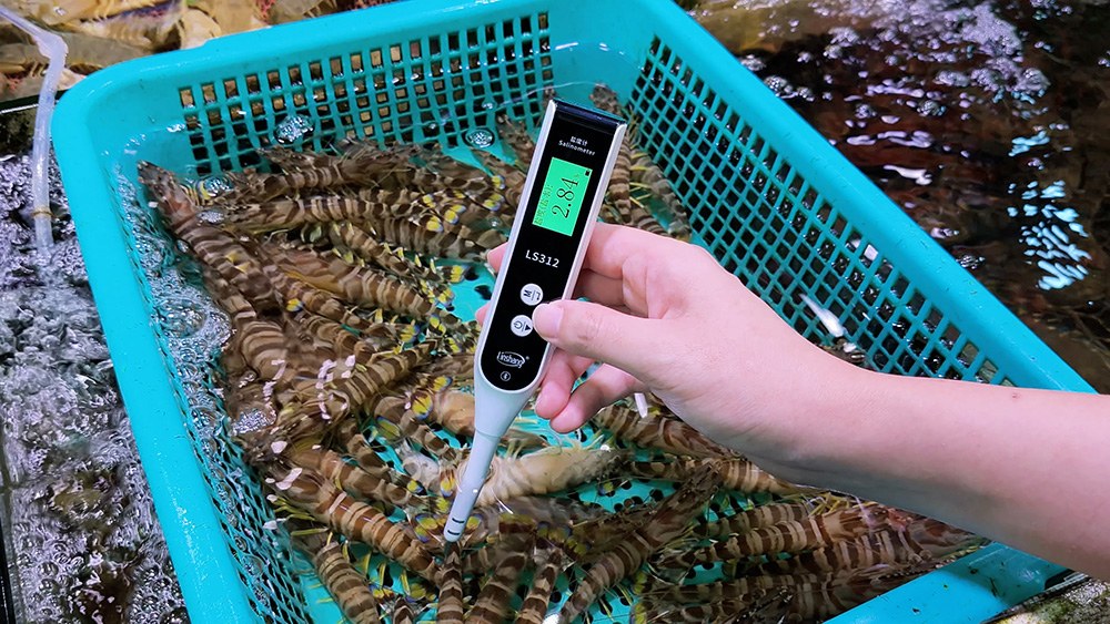 林上检测仪器