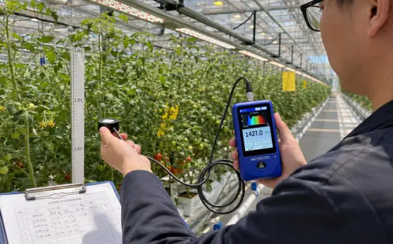 LS335植物光谱照度计：从光谱、PPFD到补光均匀性的检测方案