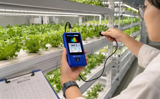 植物照度计怎么用于PPFD测量？从光谱到植物工厂光环境的完整检测思路